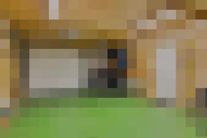 Keizersveerlaan 44 Tilburg thumbnail 44