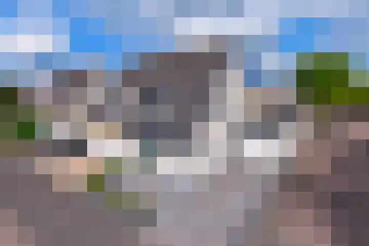 Keizersveerlaan 44 Tilburg thumbnail 52