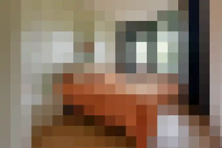 Keizersweg 117 Badhoevedorp thumbnail 10