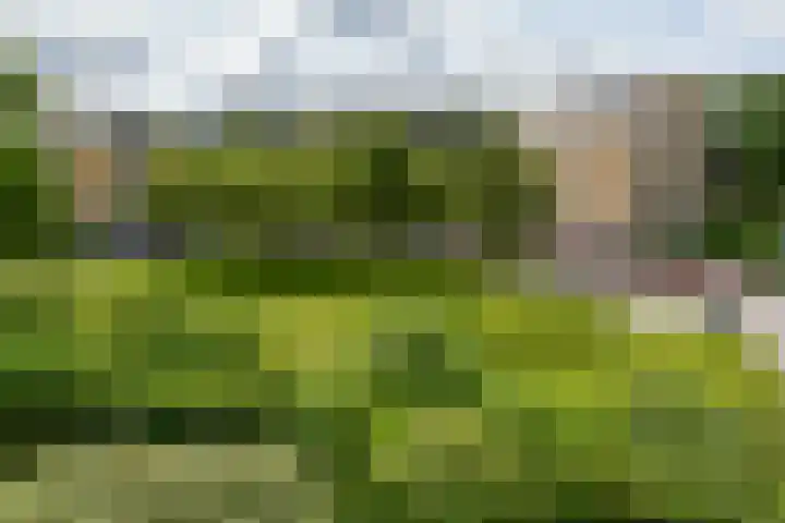 Keizersweg 117 Badhoevedorp thumbnail 20