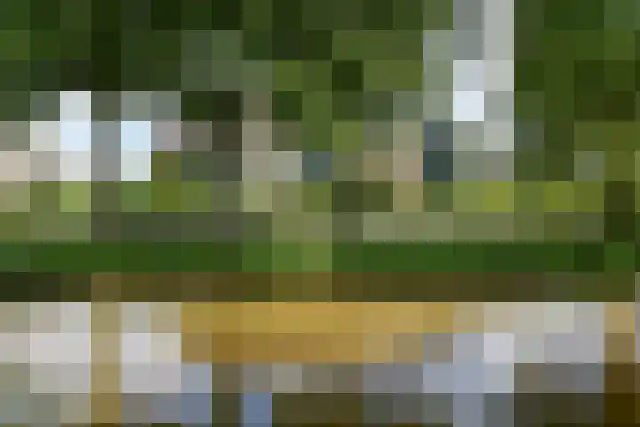 Keizersweg 117 Badhoevedorp thumbnail 22
