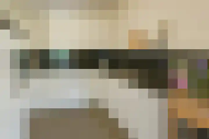 Keizersweg 117 Badhoevedorp thumbnail 9