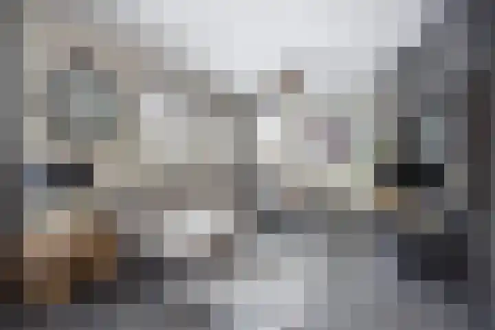 Keizersweg 12 Etten-Leur thumbnail 10