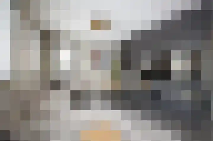Keizersweg 12 Etten-Leur thumbnail 11
