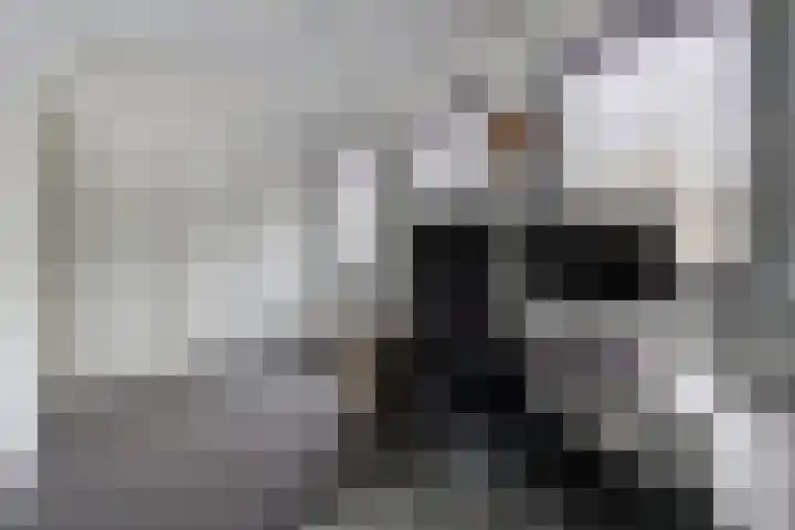 Keizersweg 12 Etten-Leur thumbnail 35