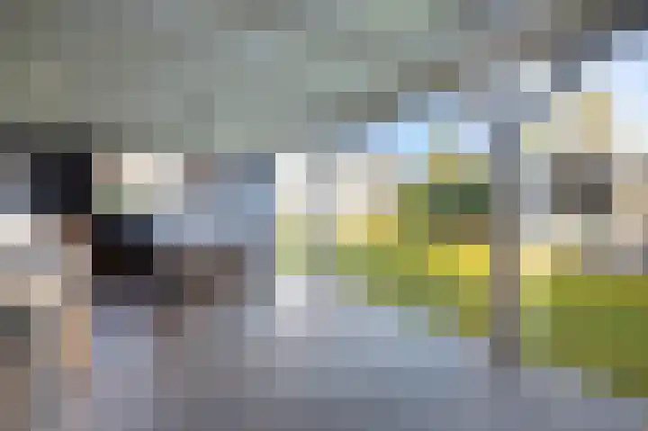 Keizersweg 12 Etten-Leur thumbnail 47