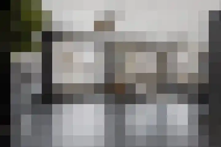 Keizersweg 12 Etten-Leur thumbnail 9