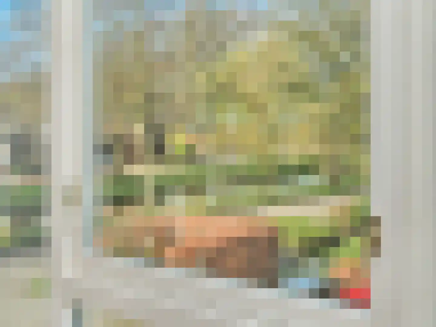 Keizersweg 123 B Badhoevedorp thumbnail 27