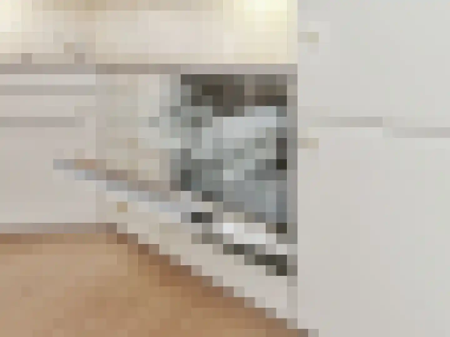 Keizersweg 123 B Badhoevedorp thumbnail 30