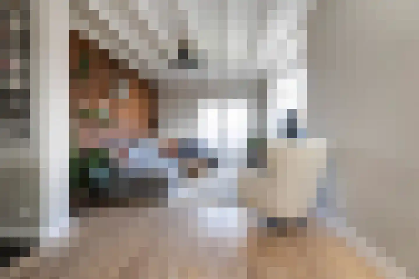 Keizersweg 18 Wezep thumbnail 4