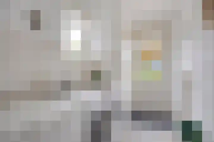 Keizersweg 23 Wezep thumbnail 14