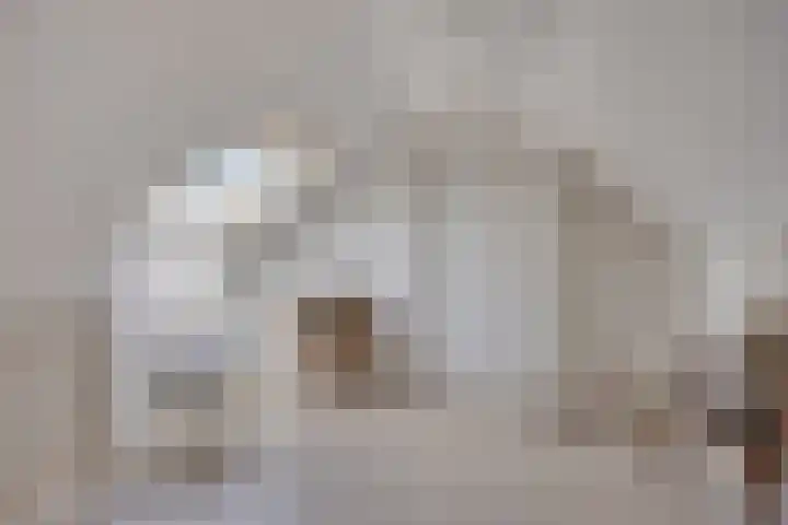 Keizersweg 23 Wezep thumbnail 19