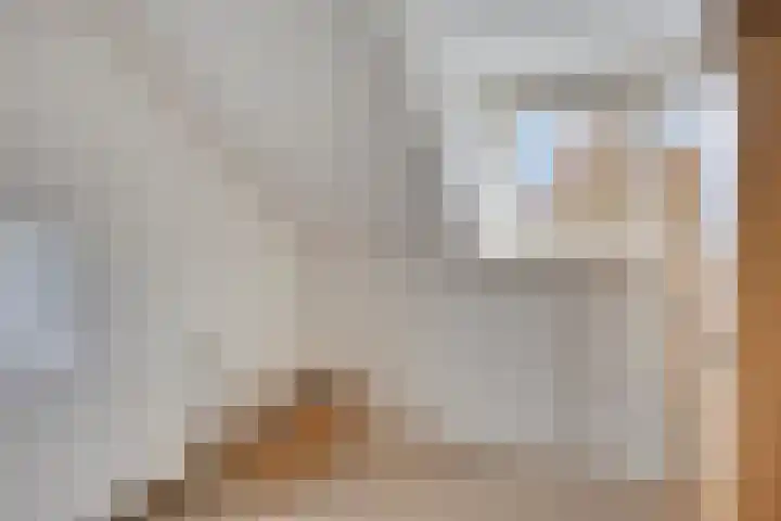 Keizersweg 23 Wezep thumbnail 20