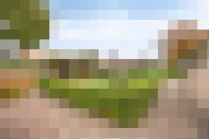 Keizersweg 23 Wezep thumbnail 24