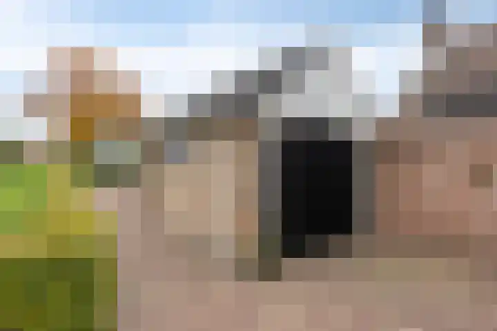 Keizersweg 23 Wezep thumbnail 26