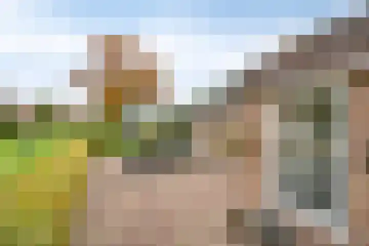 Keizersweg 23 Wezep thumbnail 27