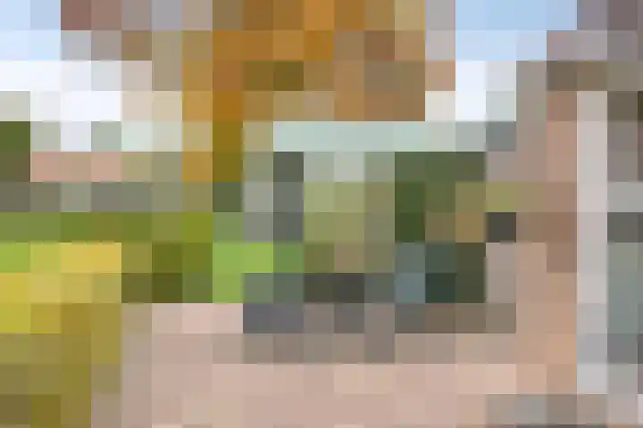 Keizersweg 23 Wezep thumbnail 28