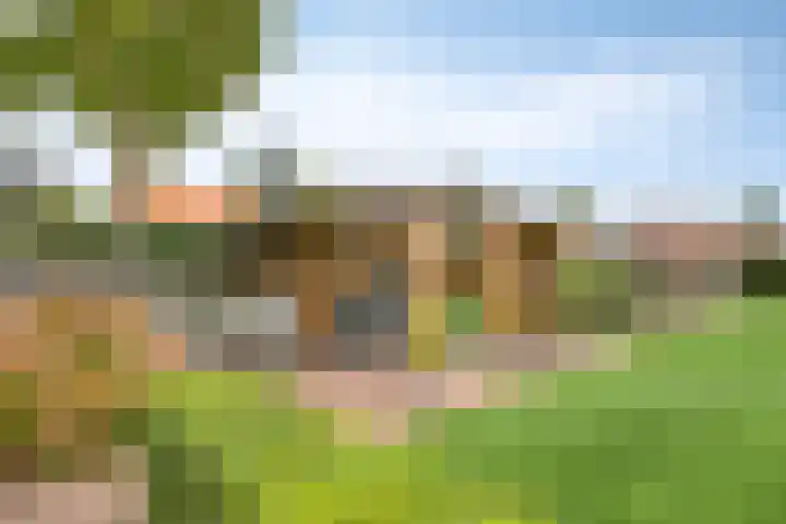 Keizersweg 23 Wezep thumbnail 30