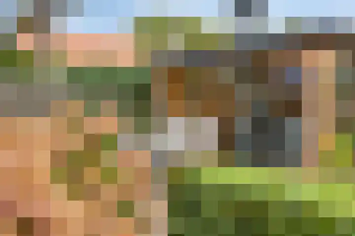 Keizersweg 23 Wezep thumbnail 31