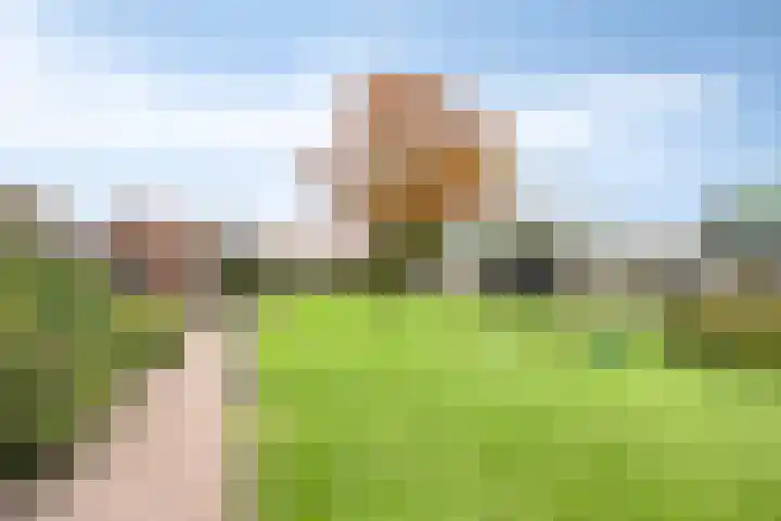 Keizersweg 23 Wezep thumbnail 33