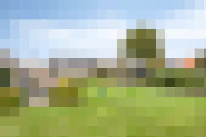 Keizersweg 23 Wezep thumbnail 35