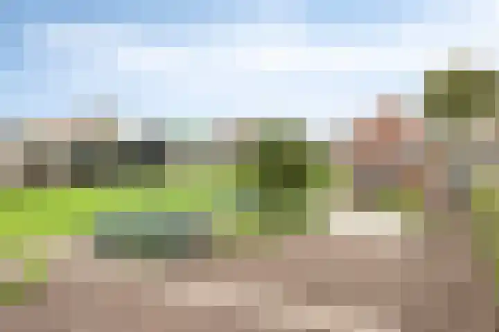 Keizersweg 23 Wezep thumbnail 38