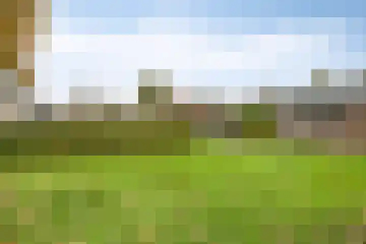 Keizersweg 23 Wezep thumbnail 40