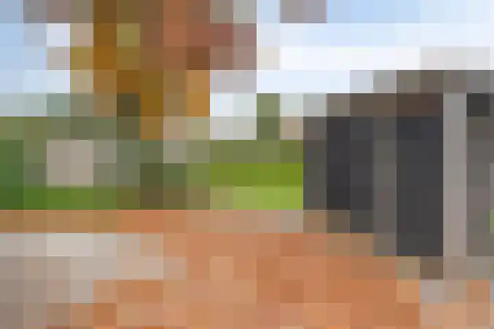 Keizersweg 23 Wezep thumbnail 41
