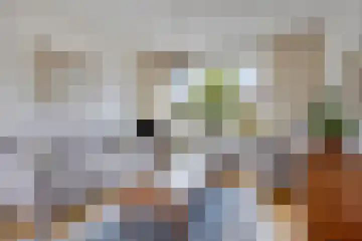 Keizersweg 23 Wezep thumbnail 7