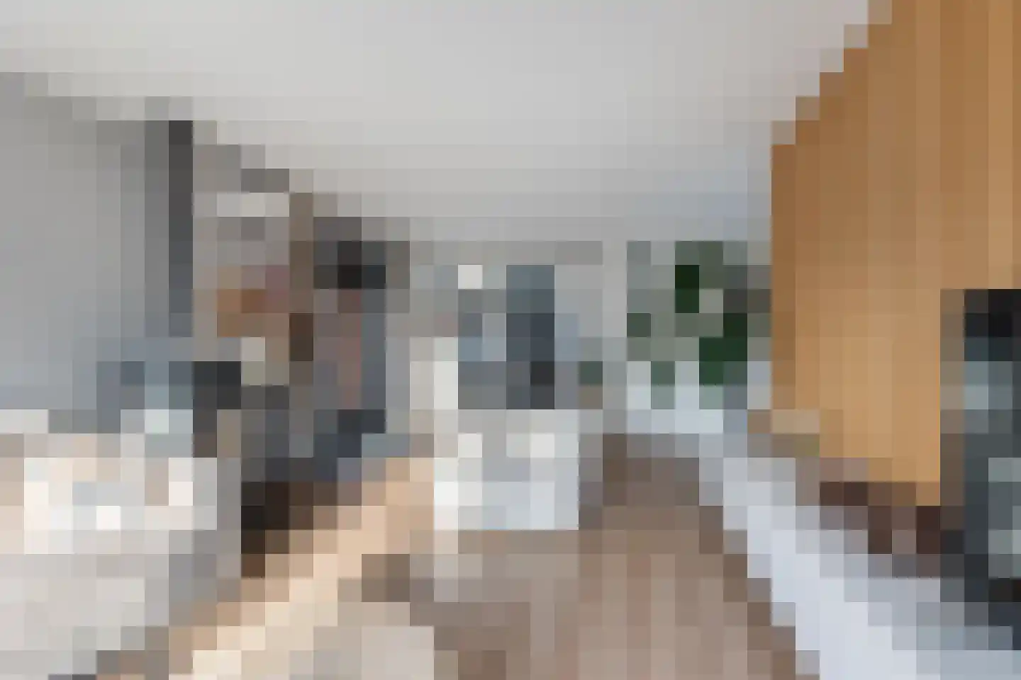 Keizersweg 24 Wezep thumbnail 15