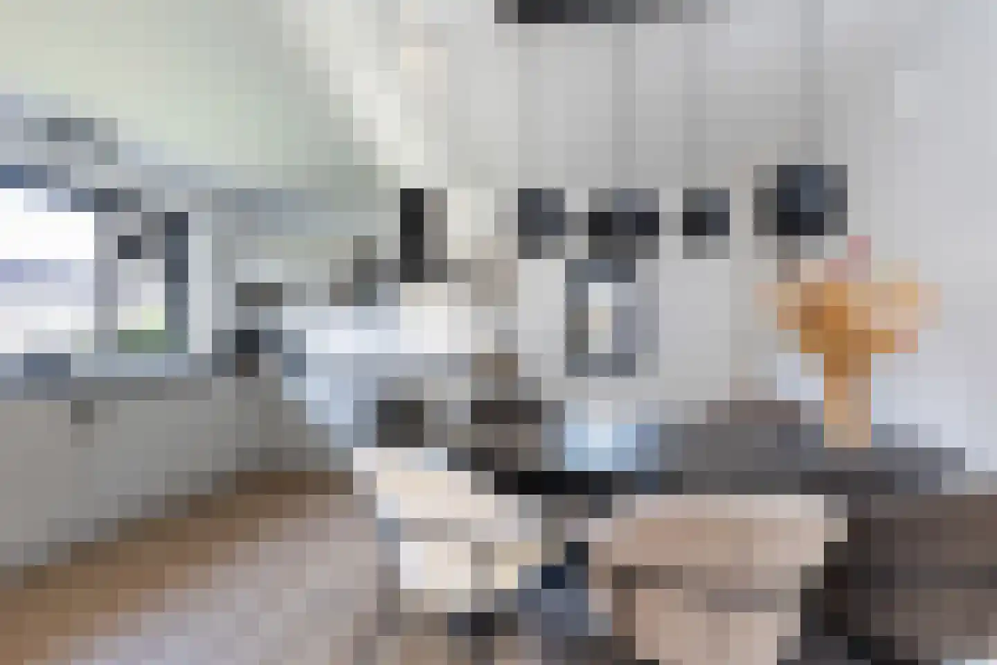 Keizersweg 24 Wezep thumbnail 17