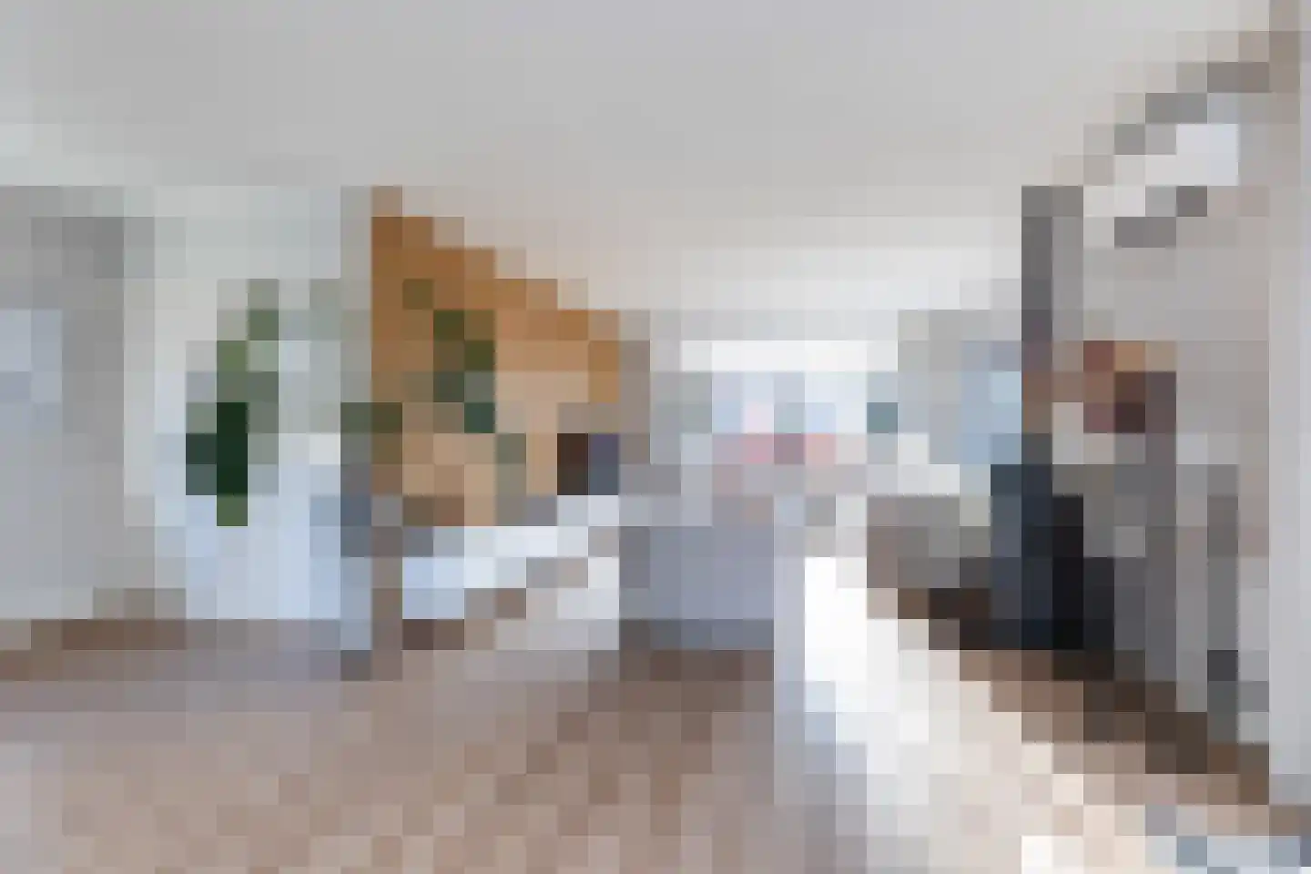 Keizersweg 24 Wezep foto 3