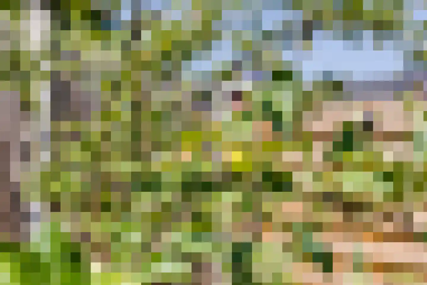 Keizersweg 33 Aalten thumbnail 34