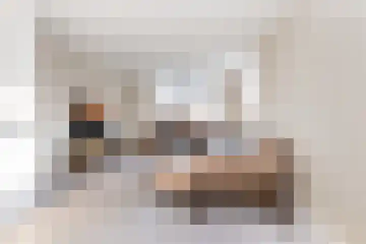 Keizersweg 55 Wezep thumbnail 11