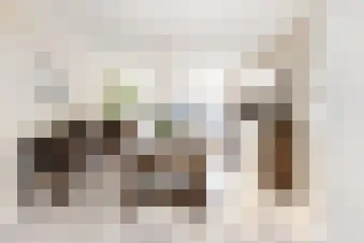 Keizersweg 55 Wezep thumbnail 13
