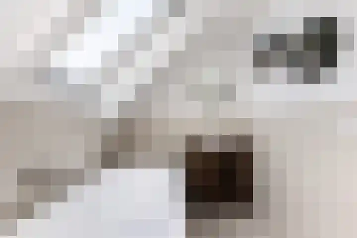 Keizersweg 55 Wezep thumbnail 25