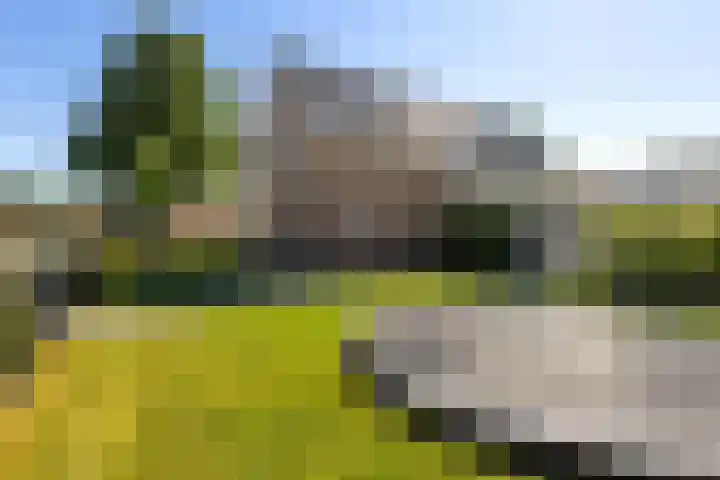 Keizersweg 55 Wezep thumbnail 31