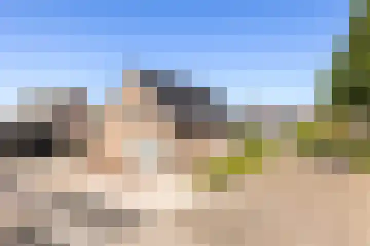 Keizersweg 55 Wezep thumbnail 36