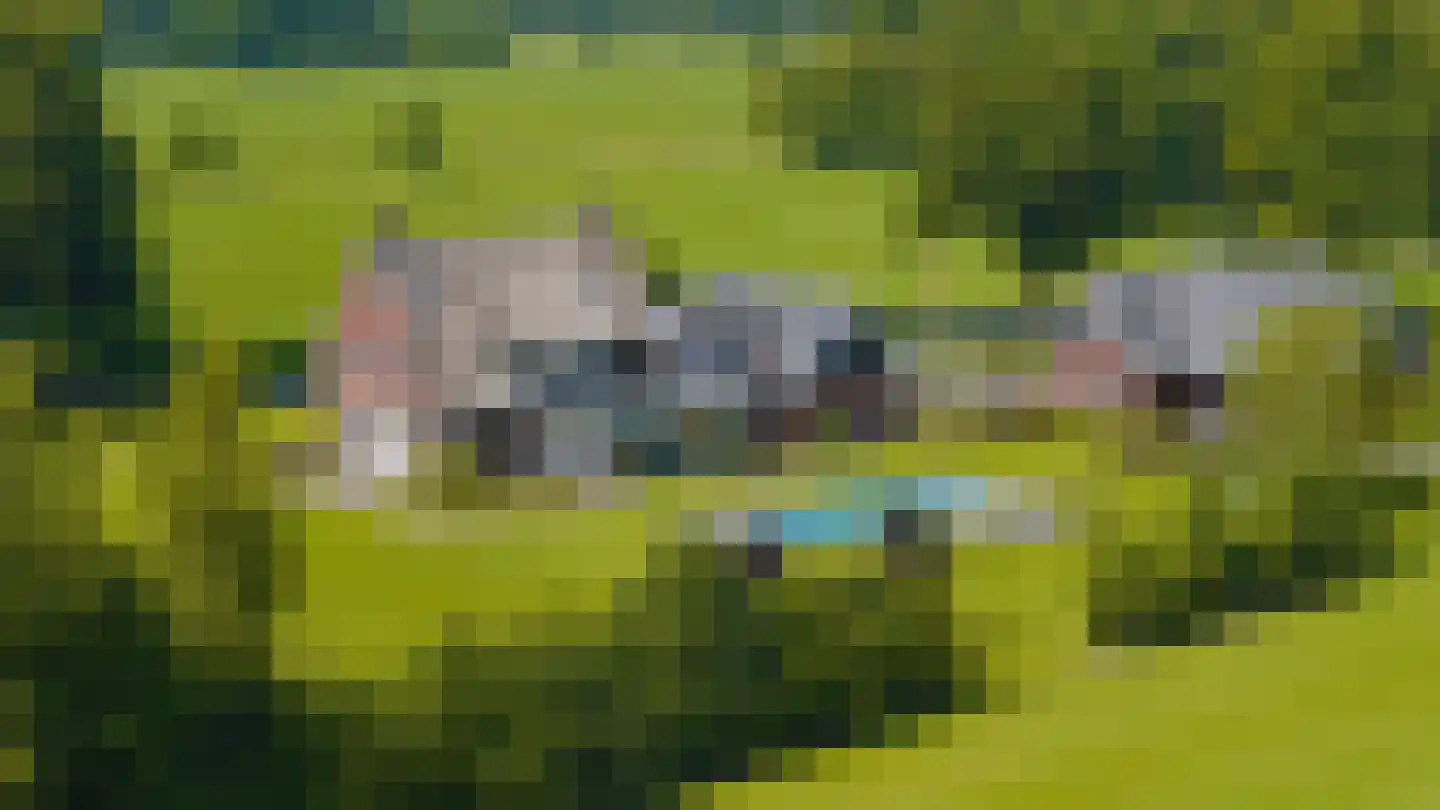 Keizersweg 7 Enter