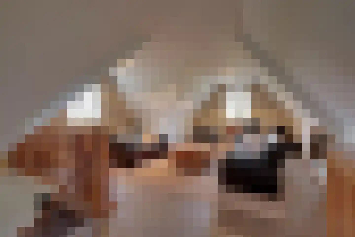 Keizersweg 7 Enter thumbnail 45