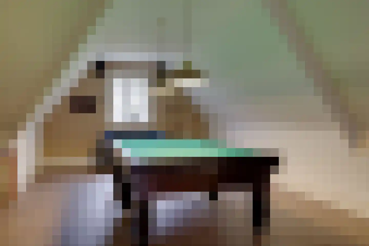 Keizersweg 7 Enter thumbnail 46