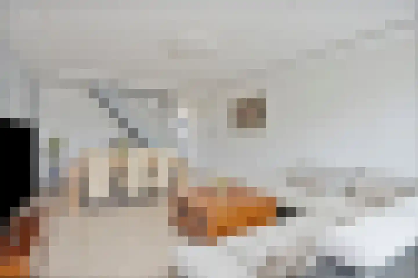 Kelbergen 187 Amsterdam thumbnail 21