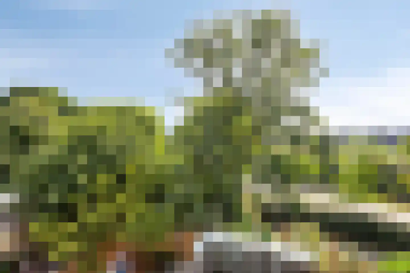 Kelbergen 187 Amsterdam thumbnail 48
