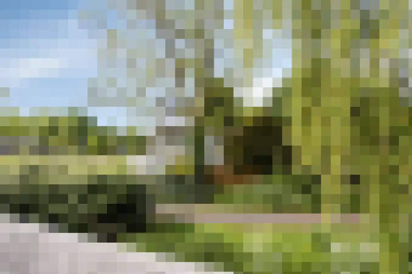 Kelbergen 187 Amsterdam thumbnail 56
