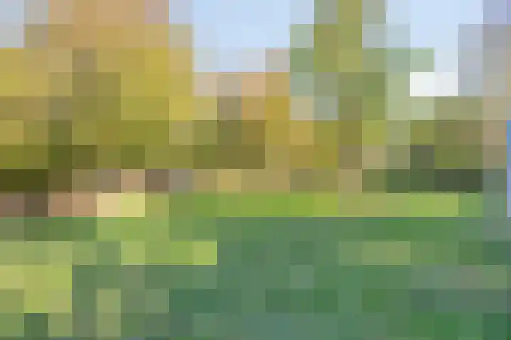Kelbergen 284 Amsterdam thumbnail 12