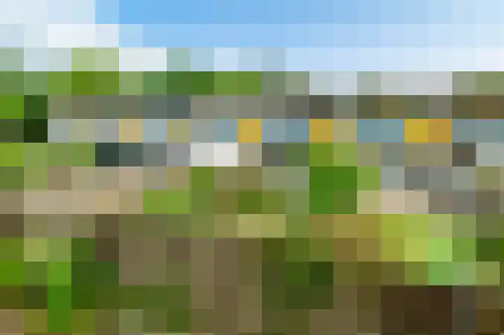 Kelbergen 284 Amsterdam thumbnail 45