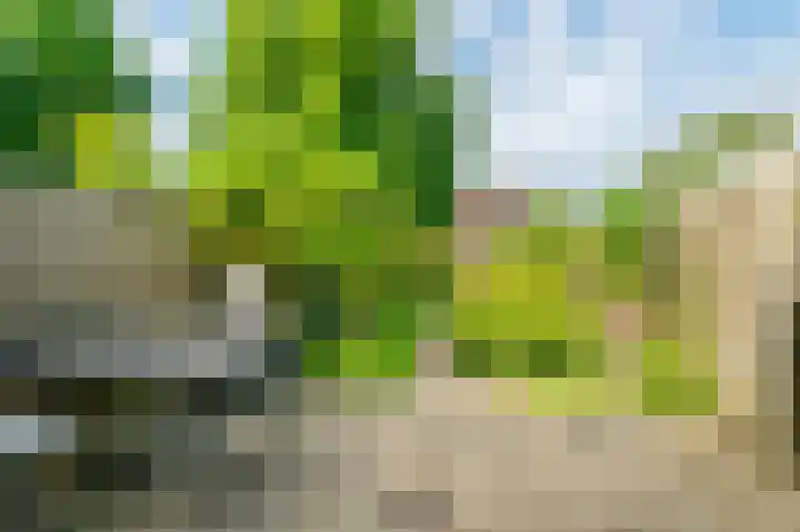 Kelbergen 284 Amsterdam thumbnail 9