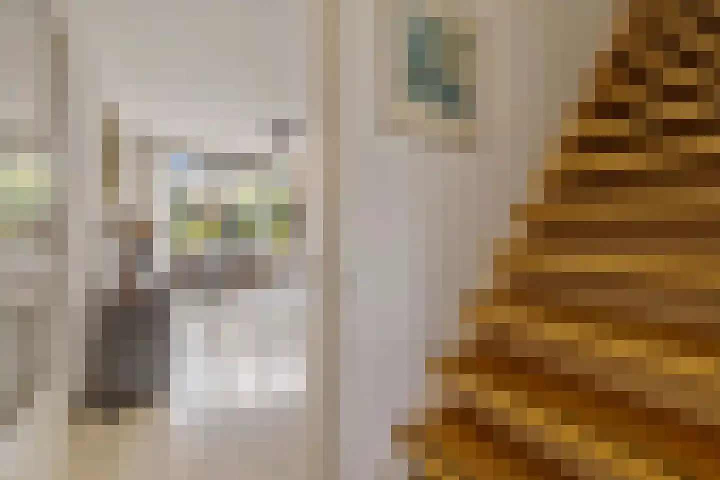Kelbergen 337 Amsterdam thumbnail 8
