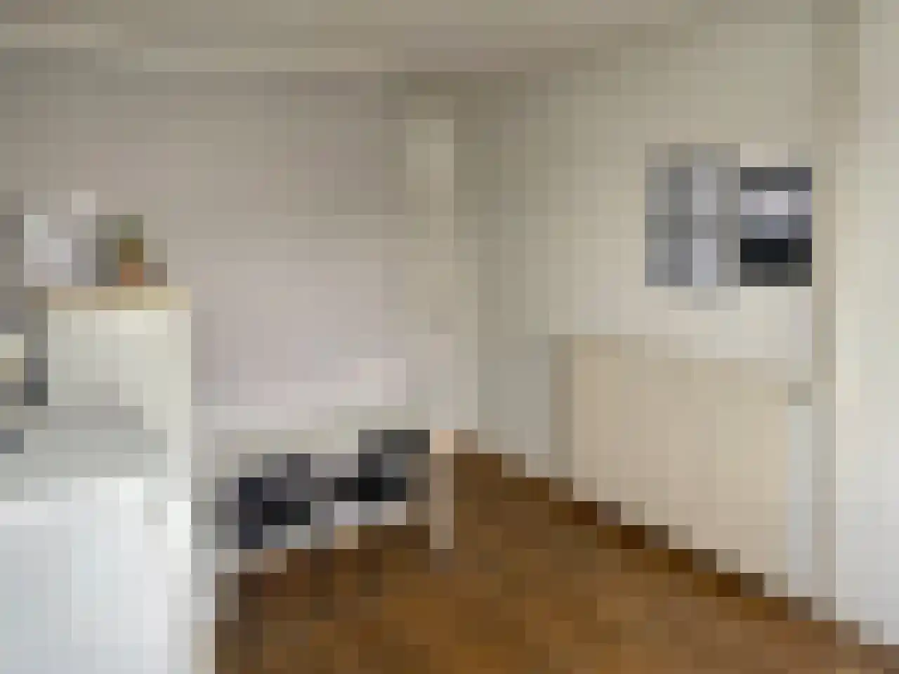 Kelbergen 4 Amsterdam thumbnail 5