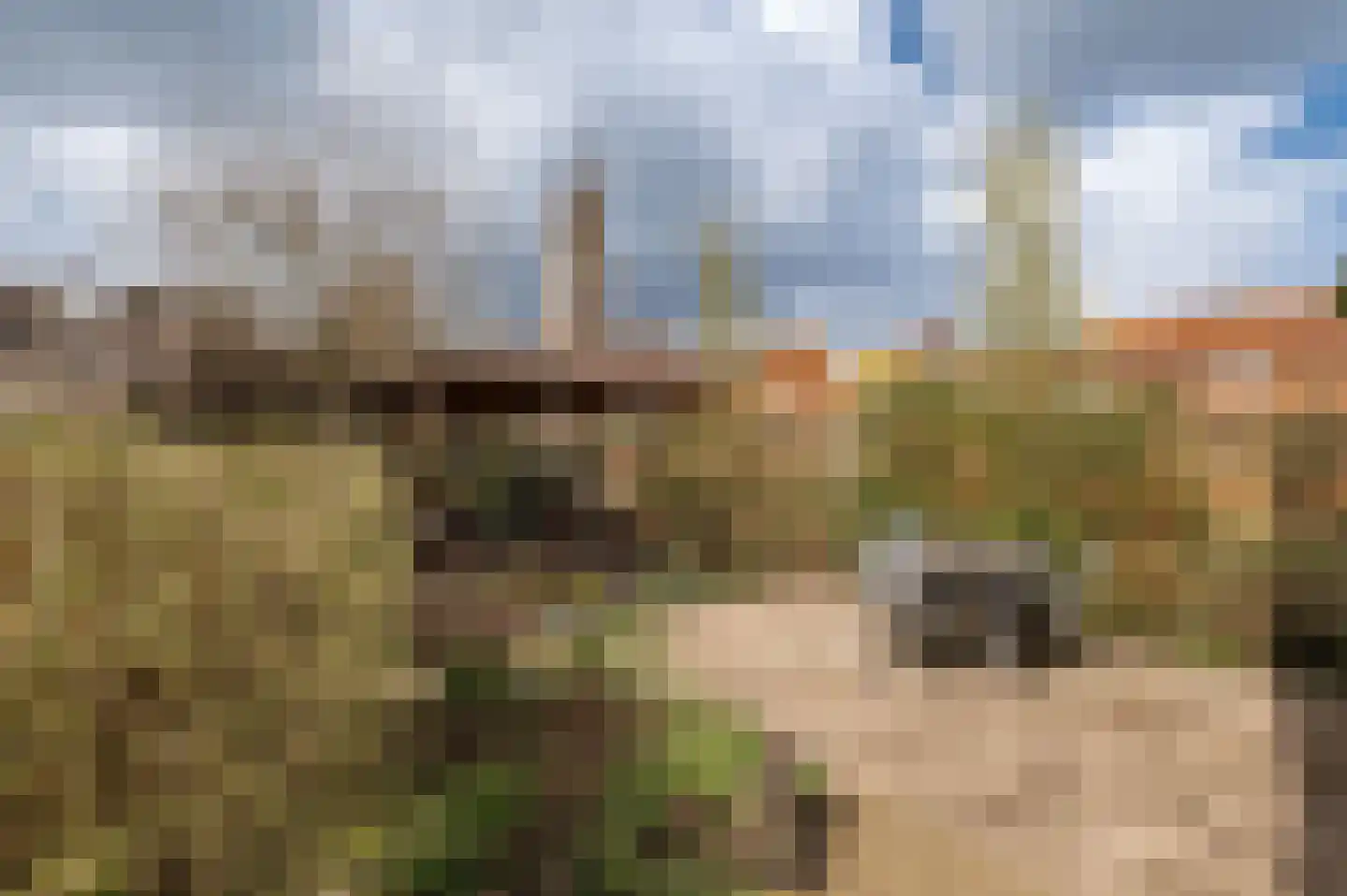 Keldermanspad 11 Rhenen thumbnail 21